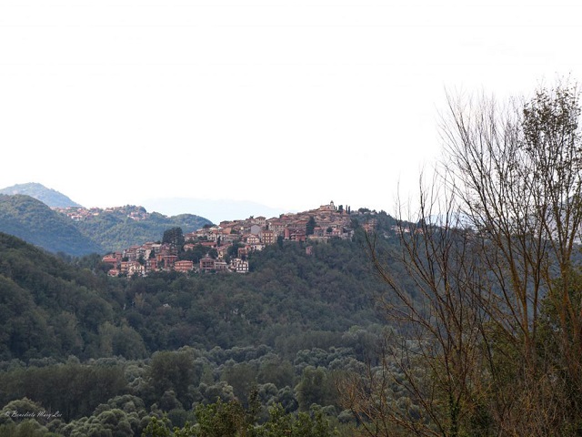 Paese di origineMarano Equo