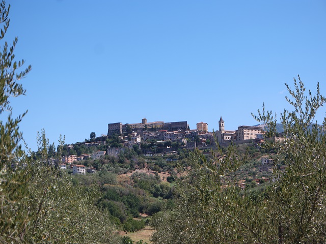 Paese di residenzaPaliano